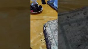 в пожаре Коран не сгорел