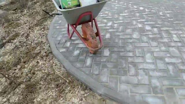 поделила и посадила клематисы смотреть онлайн