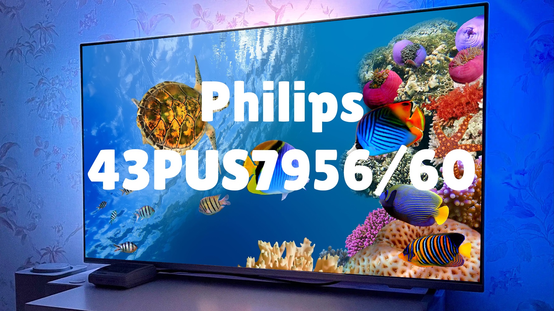 4k монитор 43 дюйма. телевизор philips 43pus8108 60 43 отзывы. 50pus6503/60 philips. телевизор philips 43pus8108 60 43 отзывы. телевизор philips 43pus8108 60 43 отзывы.