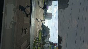 Торги, что вам не расскажут инфоцыгане