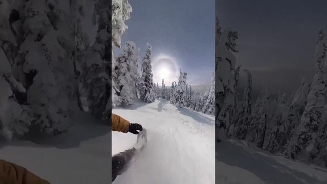 Сноуборд
