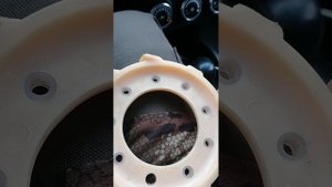 Качество ведущих звёзд у снегохода шармакс 650 - 680, Шармань за 430 т. р. Пробег 80 км.