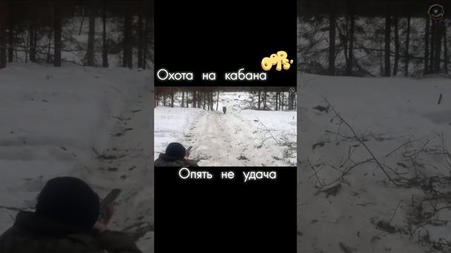 Охота на кабана пошла не по плану