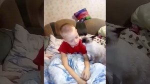 Вставай в школу! Волосатый будильник)))