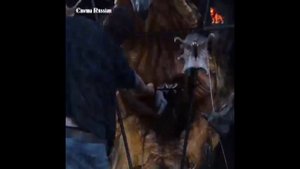 гигантский дождевой червь