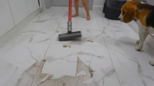 София Убирает ВСЕ за Брата. София НАШЛА ВОЛШЕБНЫЙ ПЫЛЕСОС. Софунья Шалунья