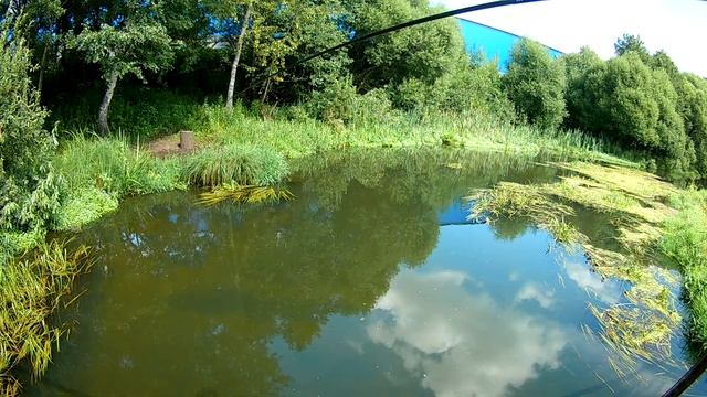 Ловля уклейки на Тенкару