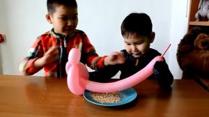 детские опыты сила притяжения kid's experiments force of attraction