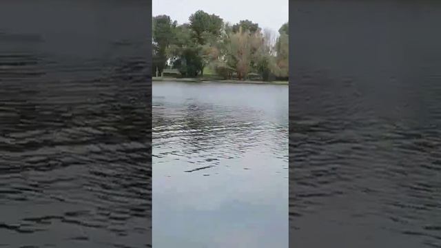 Рыбалка настоящих мужиков) смотреть онлайн