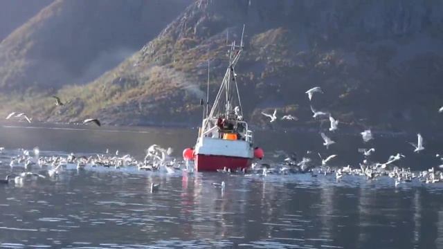 Norway - beautiful country and nature - Норвегия