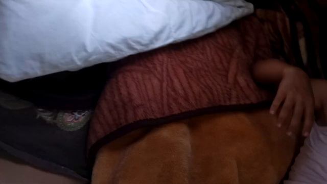 Обзор каютного катера GRAND