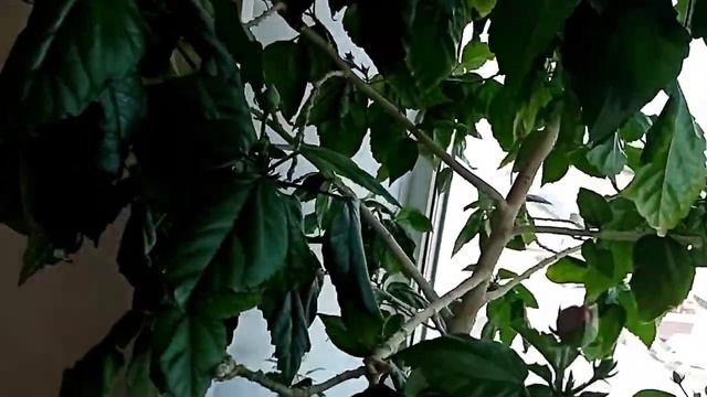 Обычный день, весенний. смотреть онлайн