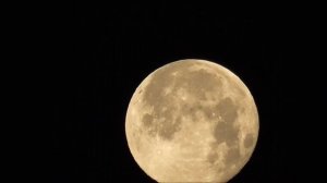 PANASONIC HC-V110 GREAT SUPERMOON JUNE 2013