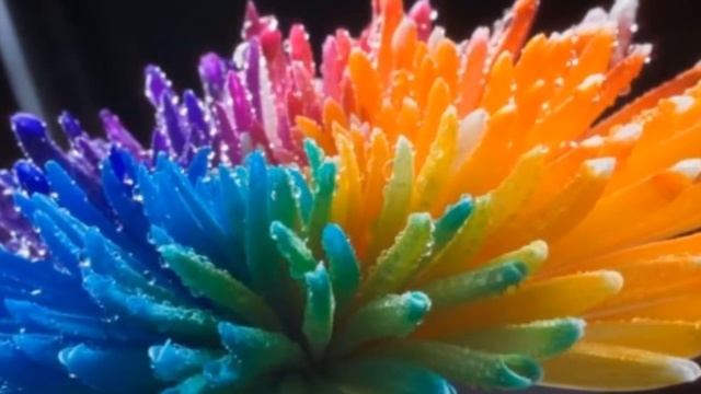 ШОПЕН ФРЕДЕРИК  ВАЛЬС     ЯРКИЕ ЦВЕТЫ /ПОЗИТИВ/ смотреть онлайн