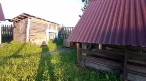 Обзор территории ДТ