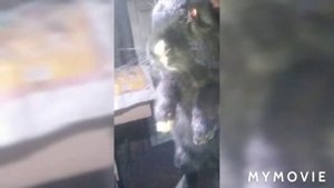 Как оприделить, крольчиха в охоте или нет