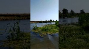 Лодка Вятка 310 с мотором Терхи 5лс