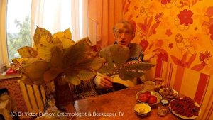 Откуда Взялась Каштановая Моль в Киеве и Украине?