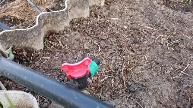 Капельный полив это просто!