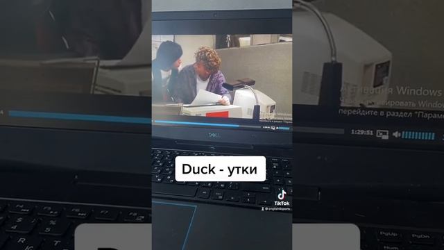 Потому что «утки»