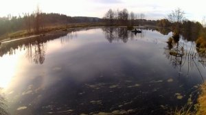 Щука 1,5 кг на копию мегабас вижеон 110