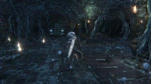 Фармим куски кровавика и самоцветы с тайным уроном в Bloodborne