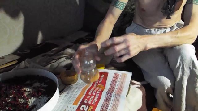 Про ШИПОВНИК