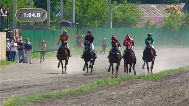 9-й Заезд. Приз «Серебряное Стремя» Абаканский ипподром 24 июня 2023 смотреть онлайн