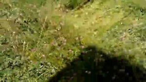 Косилка ноживая