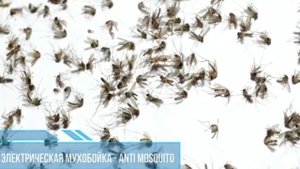 ?ЭЛЕКТРИЧЕСКАЯ МУХОБОЙКА ANTI MOSQUITO?. Купить электрическую мухобойку Anti Mosquito, цена, отзывы