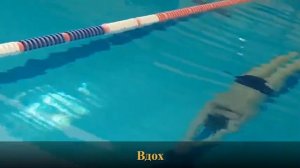 Секреты скольжения. 25 метров за один гребок брассом