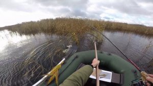 Рыбалка. Ловля щуки на спиннинг. Мегабасс fx9. Крамской. Осень. Дитва.