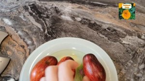 ТОМАТ-ГНОМ БОЙ С ТЕНЬЮ. ОБЗОР И ДЕГУСТАЦИЯ.