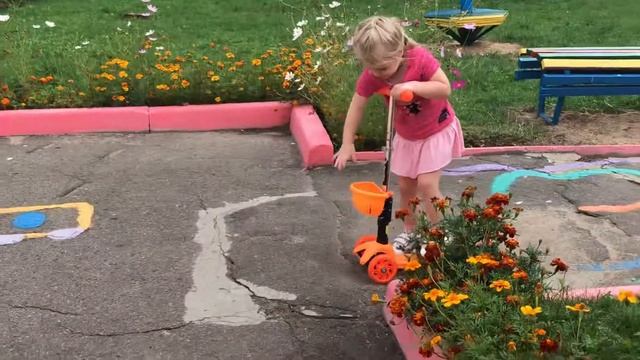 Самокат и Алиса смотреть онлайн