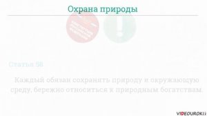 Конституционные обязанности гражданина России