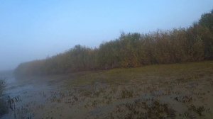 Очередной выход.Охота на утку с дратхааром.