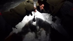 Рыбалка на налима зимой! Установка донок и проверка! Первые трофеи 2020 года!