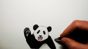 Как нарисовать Панду