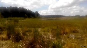 Готовим трубки для нереста лорикарий, но как оказалось не для них