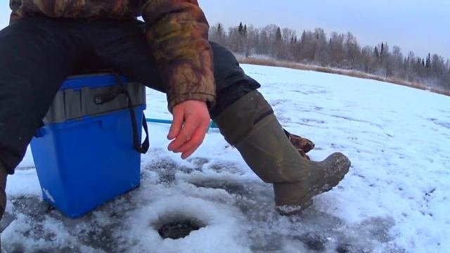 Пинежский район Заозерье 2016, зимняя рыбалка.