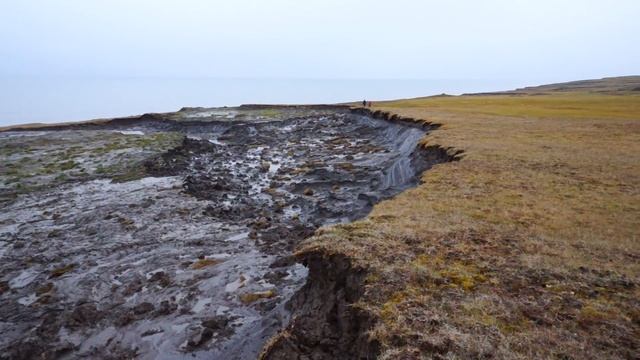 Берег моря Лаптевых. смотреть онлайн