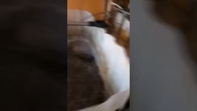 Живец на рыбалку смотреть онлайн