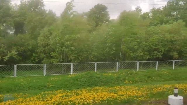 Из Новгорода в Питер ч.5. Колпино - Санкт-Петербург из окна электрички