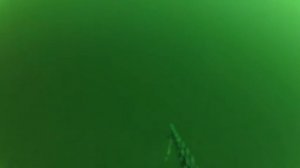 GoPro Hero2 Underwater recording at 60ft(ca20m) ,of fish striking a softbait..