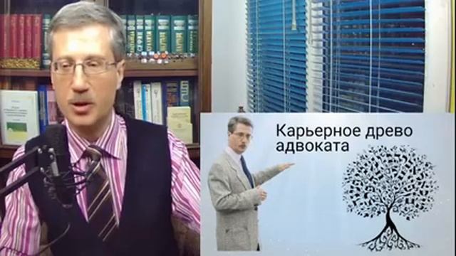 Карьерное древо адвоката смотреть онлайн