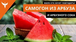 сДЖ 11: Самогон из арбуза и арбузного сока - мало кто захочет повторить)