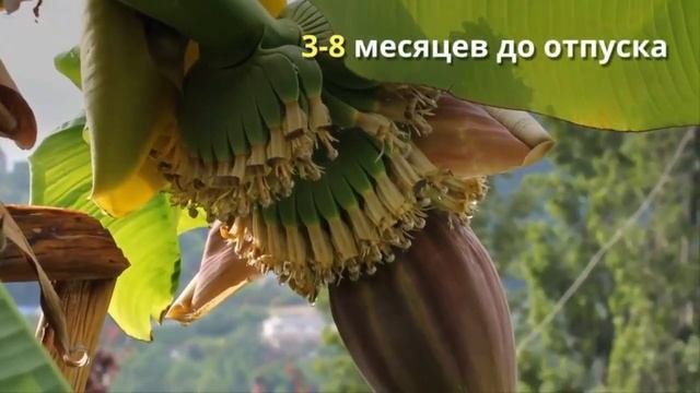 Билеты дешево | Как найти билеты дешевле | Путешествуем!