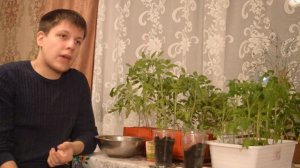 Пересадка томатов, подкормка с Борисом Сониным