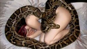 Девушка обожала спать с питоном, но змея вдруг стала худеть. Причина ужасает!