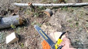 Chаmpion 362.Реальный отзыв не профессионала о бензопиле.